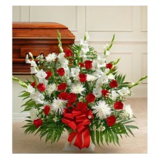 Tribute Red and White (Basic)